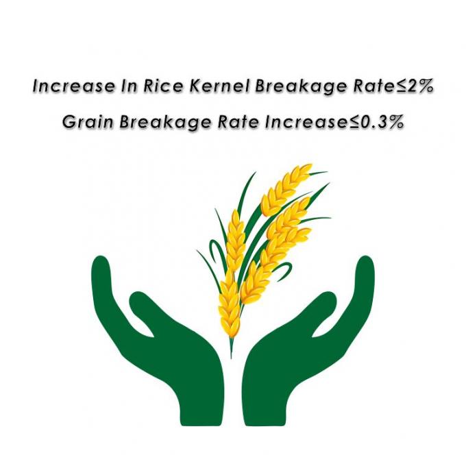 Máy sấy gạo tháp để sấy gạo ngô và các loại ngũ cốc khác 5HPX-15 9.95kw Toàn bộ kích thước 2500*4320*10200m 2