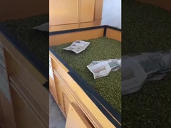 Máy sấy thông gió kiểu giường nắng