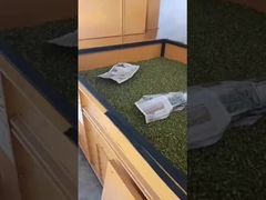 Máy sấy dẻo dẻo dẻo dẻo dẻo 4 tấn