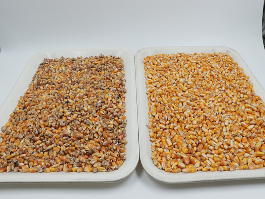 ORME Optical Rice Grain Sort Grade Machine Grader Mini Nut Peanut Coffee Bean Color Sorter Machine
