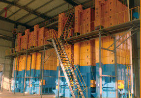Even blend 9.95kw 10T Batch Type Dryer Machine For Rice Mill
