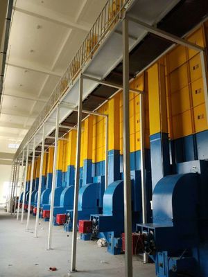 ISO 400 TPD Paddy Dryer Machine With Large Spiral Feeder