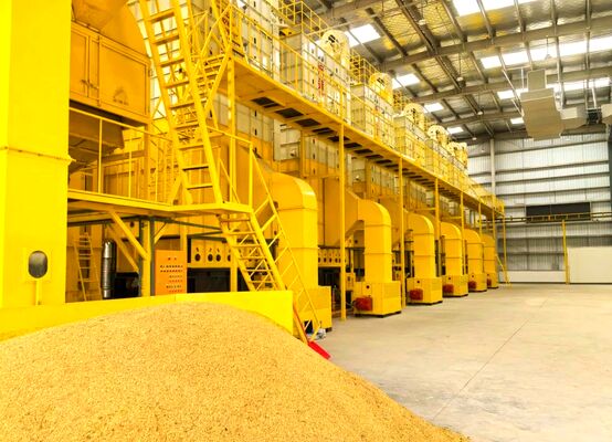 Giá tốt Máy sấy ngô 100 tấn Tất cả các hướng Sấy trực tuyến